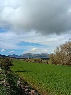 Paisaje cerca de este hotel