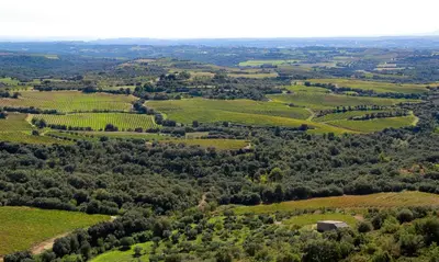 Paisaje cerca de este apartamento