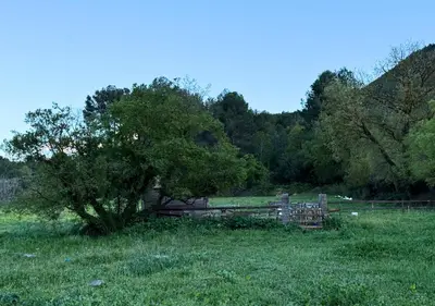 Paisaje cerca de esta casa o chalet