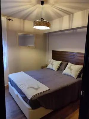Cama o camas de una habitación en Family apartment in Esterri D'Àneu