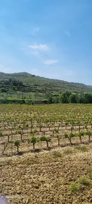Paisaje cerca de este apartamento