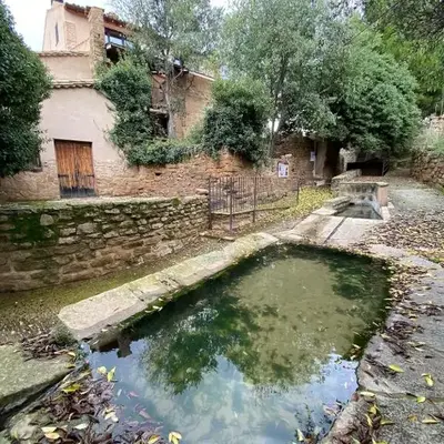 La falsa de Palacio