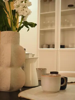 Plano de Apartamento Virgenes Eco friendly