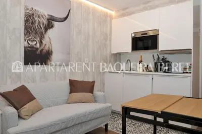 Una cocina o zona de cocina en Apartarent 1500 - Estudio Àneu