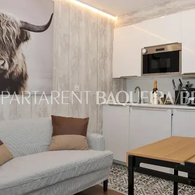 Apartarent 1500 - Estudio Àneu