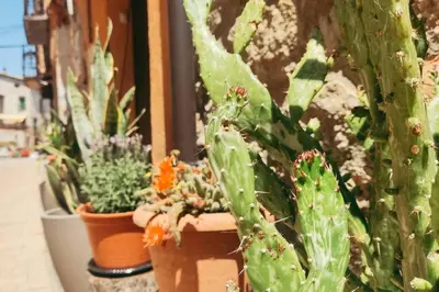 Jardín al aire libre en Encanto rural con gran terraza