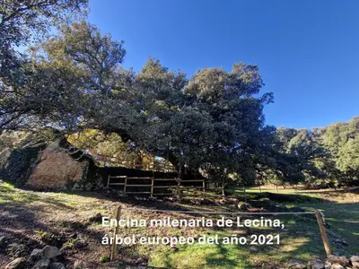 Paisaje cerca of this country house
