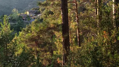 Paisaje cerca de este apartamento