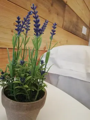 Cama o camas de una habitación en Hostal Ochoa