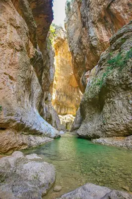 Paisaje cerca de este apartamento
