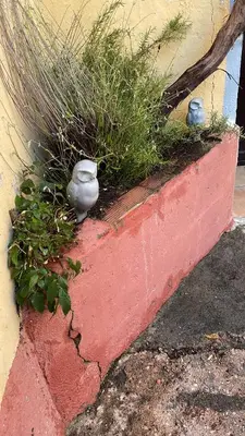 Jardín al aire libre en Casa Ferrero Salvador