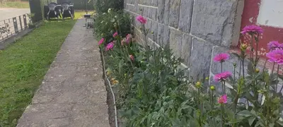 Jardín al aire libre en Sortalde ttiki