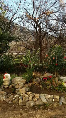 Jardín al aire libre en El Retiro de Isabel