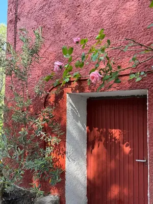 Jardín al aire libre en Casita Salinas