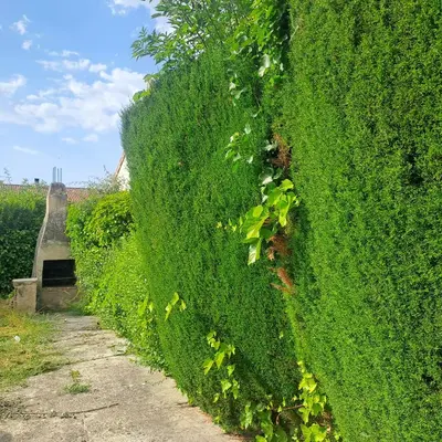 Jardín al aire libre en Ezemil Etxea