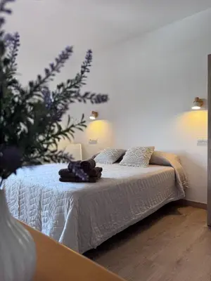 Cama o camas de una habitación en Can Sablet