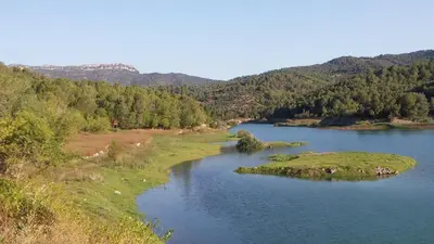 Paisaje cerca of this country house