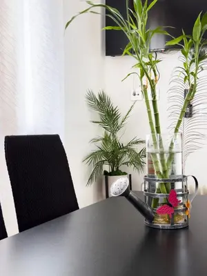 Plano de Apartamento Nayara
