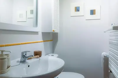 Un baño de Pinaserena Chic duplex with garden in Villanúa