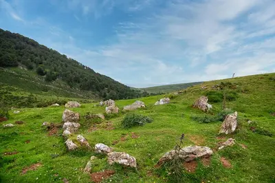 Paisaje cerca de esta casa o chalet