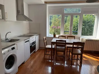 Una cocina o zona de cocina en Apartamentos Pirineo