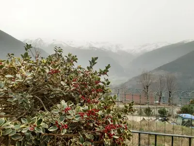 Paisaje cerca of this country house
