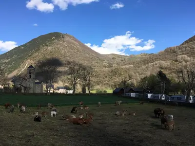 Paisaje cerca de este camping