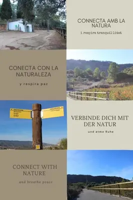Plano de Ca La Padrina