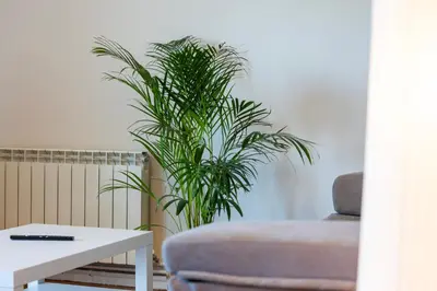 Zona de estar de Bizi Baztan Apartamento Aguirre