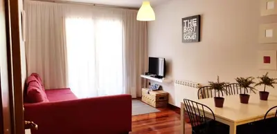 Una televisión o centro de entretenimiento en Vivienda Turística Pirineos XXI