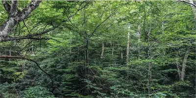 Paisaje cerca de este apartamento