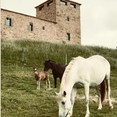 Equisoain Torre