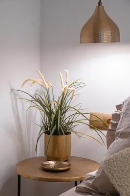 Zona de estar de Ca l'Eli Loft