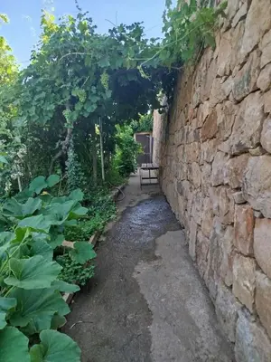 Jardín al aire libre en Eras Altas