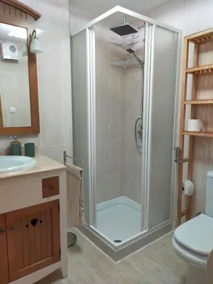 Un baño de Apartamento Asueto Ordesa