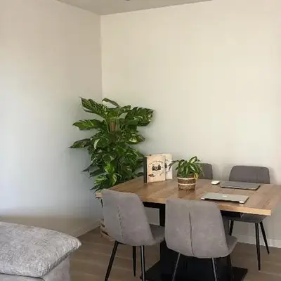 Apartamento entero