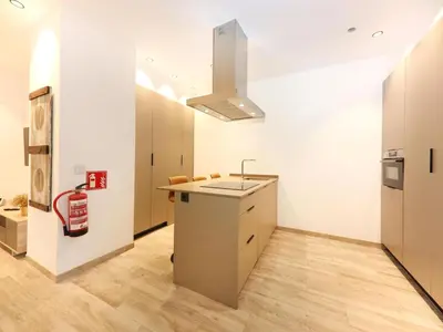 Una cocina o zona de cocina en Apartamento Domus Halo by Clabao