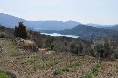 Paisaje cerca de este apartamento