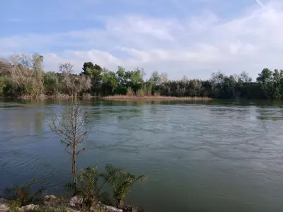 Paisaje cerca de este apartamento