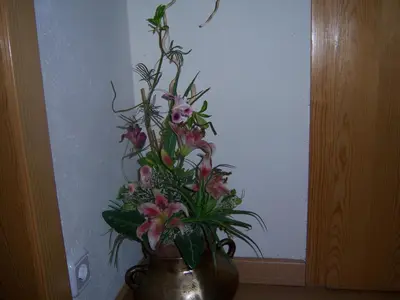Plano de Casa Rogel