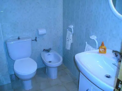 Un baño de Apartamento Vall Fosca