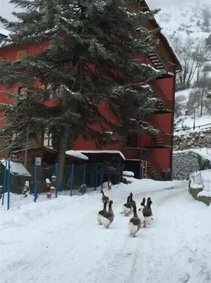 Hotel Hipic en invierno