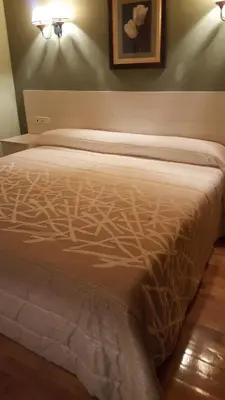 Cama o camas de una habitación en Aparta-Hotel Puertolas