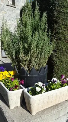 Jardín al aire libre en Aparta-Hotel Puertolas