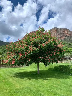 Paisaje cerca de este hotel