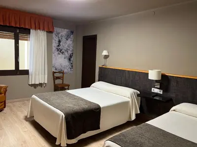 Cama o camas de una habitación en Hotel Joan Canejan