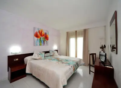 Cama o camas de una habitación en Hotel Vall d´Aneu