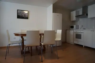 Una cocina o zona de cocina en Apartamentos Turísticos Río Gallego (Apartamento Huesca)