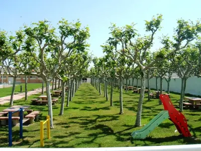 Jardín al aire libre en Hotel Alhama