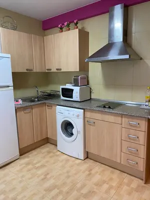 Una cocina o zona de cocina en Apartamentos Alcañiz, Ana